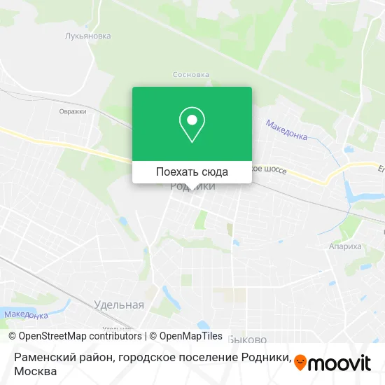 Карта Раменский район, городское поселение Родники