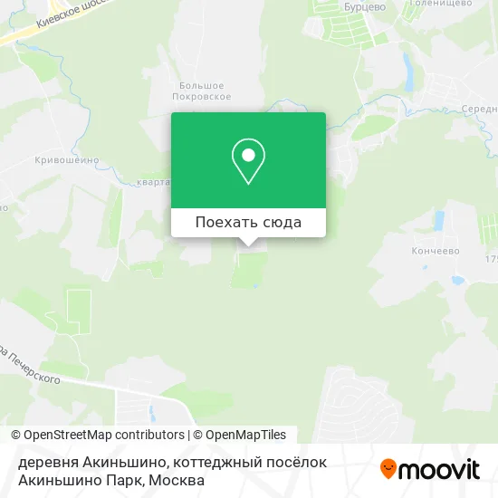 Карта деревня Акиньшино, коттеджный посёлок Акиньшино Парк