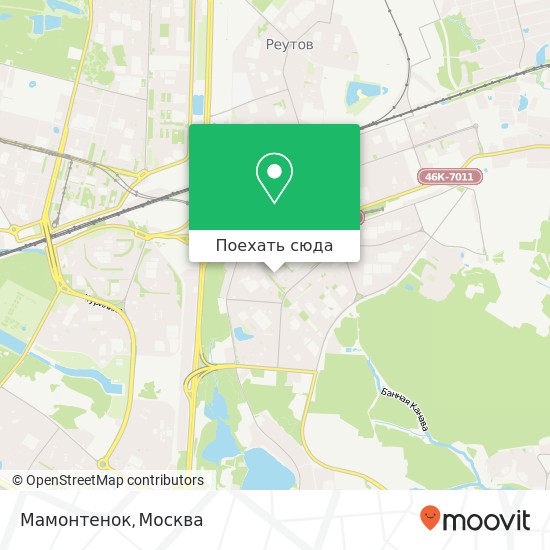 Карта Мамонтенок, Москва 111673
