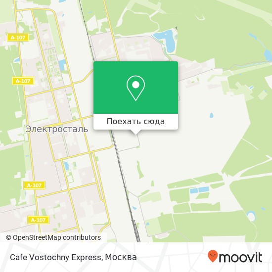 Карта Cafe Vostochny Express, улица Карла Маркса Электросталь 144009