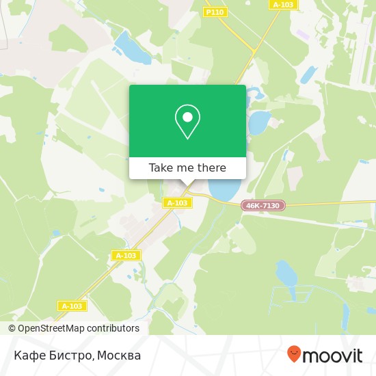 Карта Кафе Бистро, Центральная улица Щёлковский район 141143