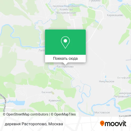 Карта деревня Расторопово
