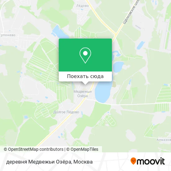 Карта деревня Медвежьи Озёра