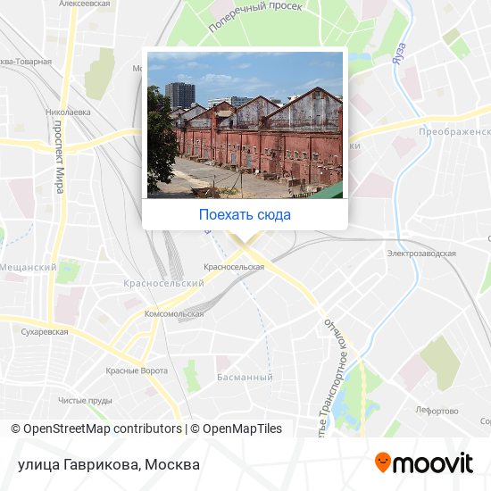 Карта улица Гаврикова