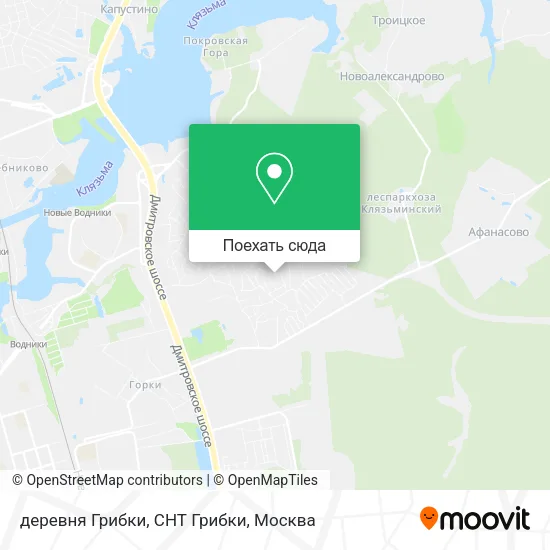 Карта деревня Грибки, СНТ Грибки