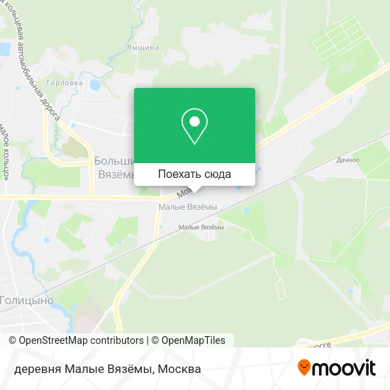 Карта деревня Малые Вязёмы