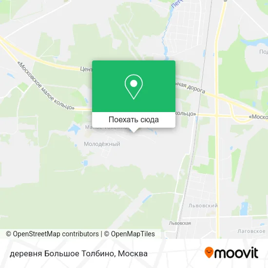 Карта деревня Большое Толбино