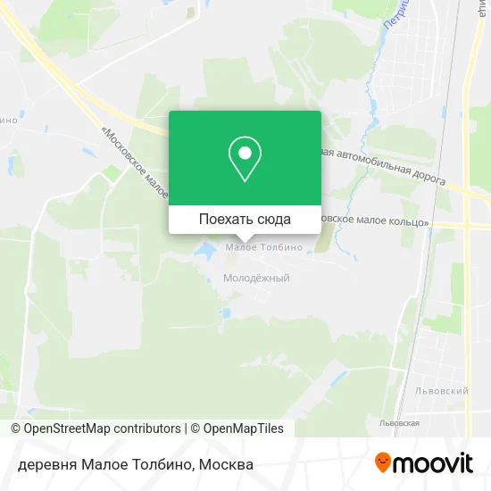 Карта деревня Малое Толбино