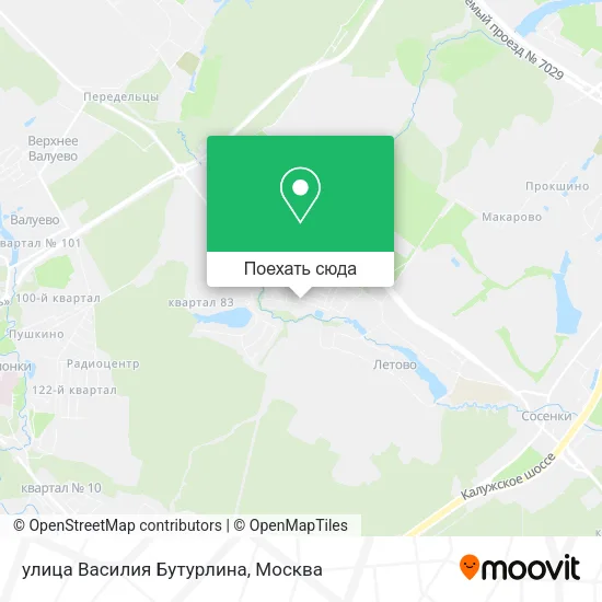 Карта улица Василия Бутурлина