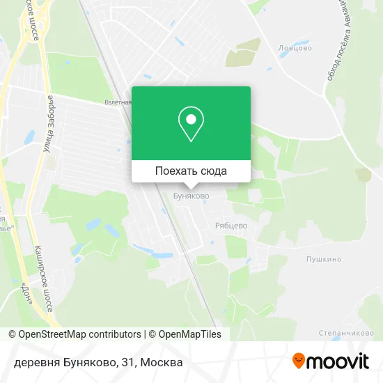 Карта деревня Буняково, 31