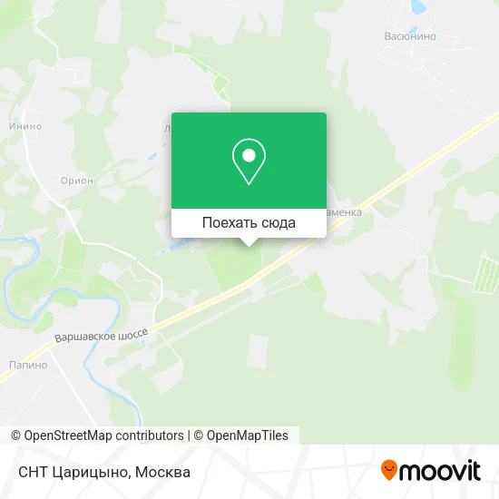 Карта СНТ Царицыно
