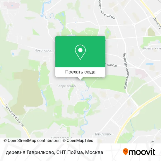Карта деревня Гаврилково, СНТ Пойма