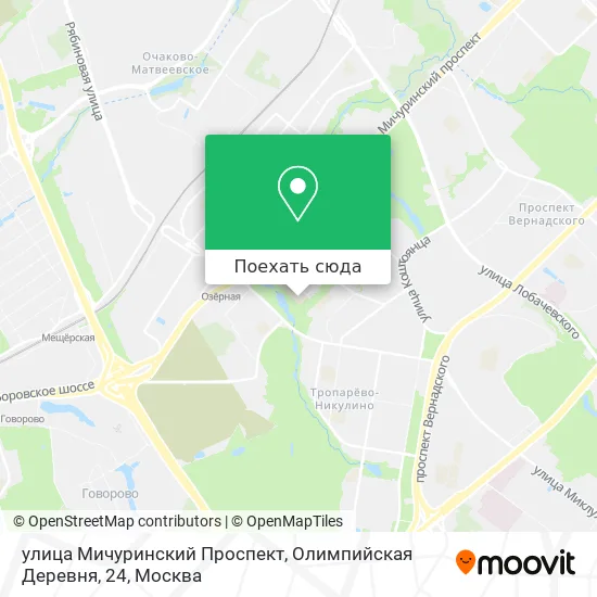 Карта улица Мичуринский Проспект, Олимпийская Деревня, 24