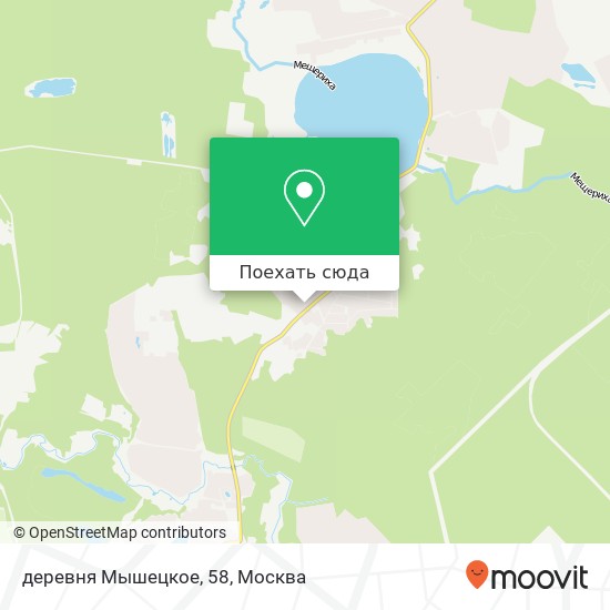 Карта деревня Мышецкое, 58