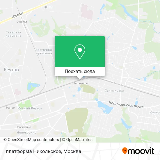 Карта платформа Никольское