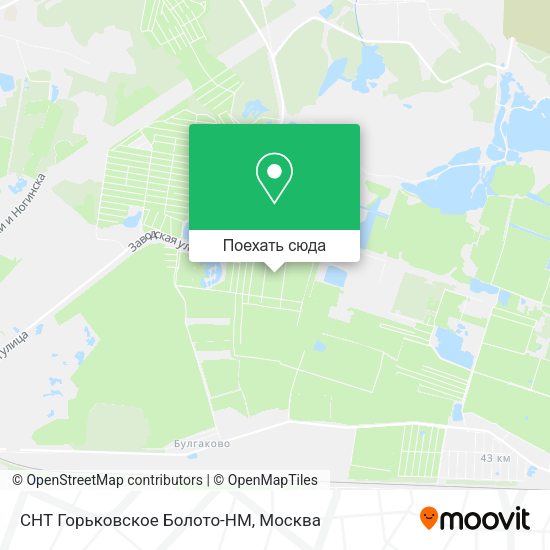 Карта СНТ Горьковское Болото-НМ