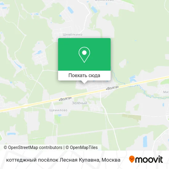 Карта коттеджный посёлок Лесная Купавна
