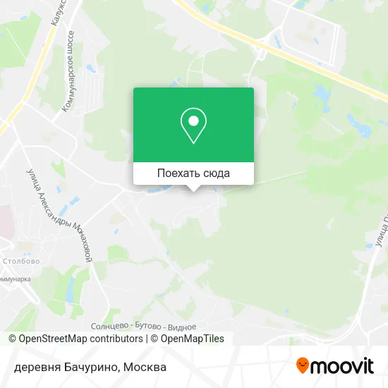 Карта деревня Бачурино