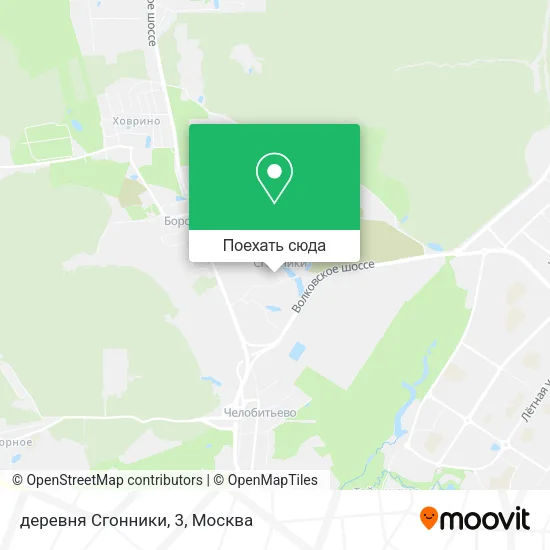 Карта деревня Сгонники, 3