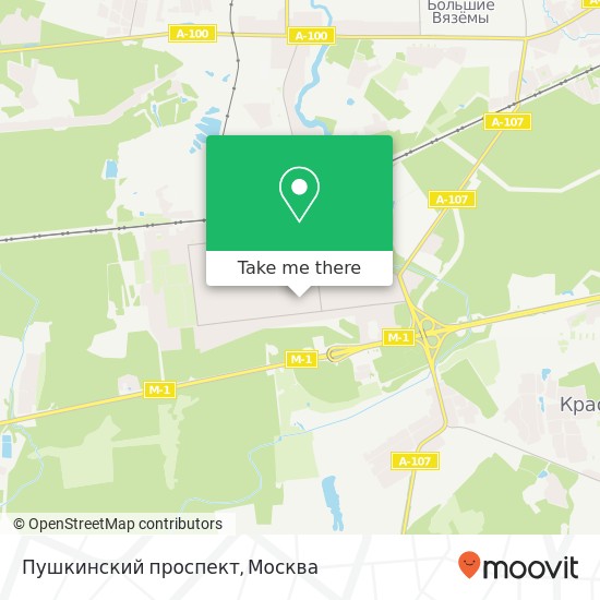 Карта Пушкинский проспект