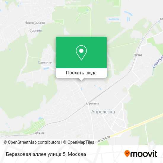 Карта Березовая аллея улица 5