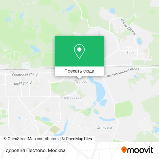 Карта деревня Пестово