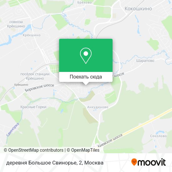 Карта деревня Большое Свинорье, 2