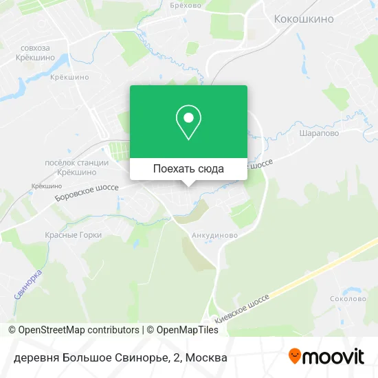 Карта деревня Большое Свинорье, 2