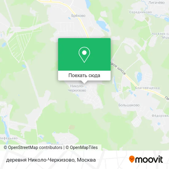 Карта деревня Николо-Черкизово