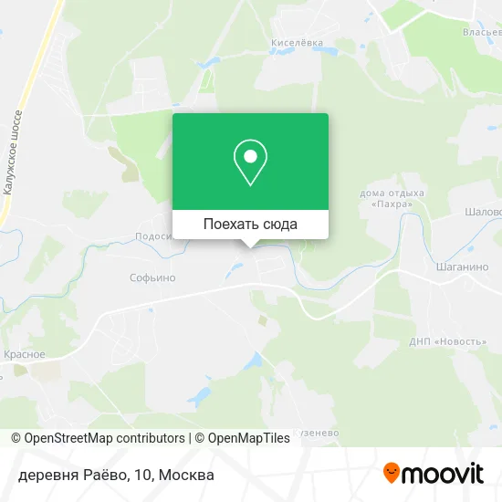 Карта деревня Раёво, 10