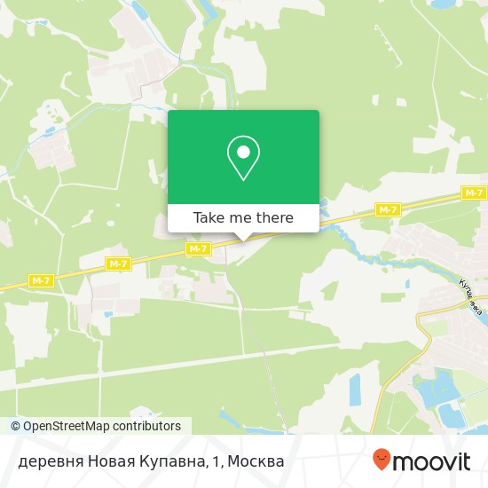Карта деревня Новая Купавна, 1