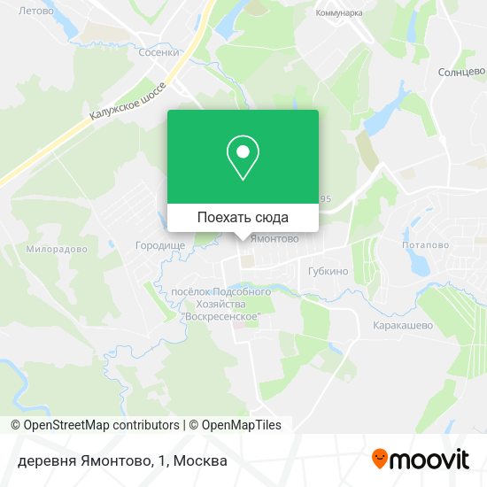 Карта деревня Ямонтово, 1