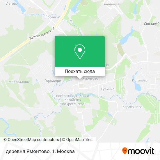 Карта деревня Ямонтово, 1