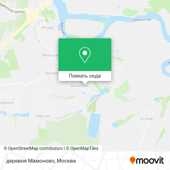 Карта деревня Мамоново