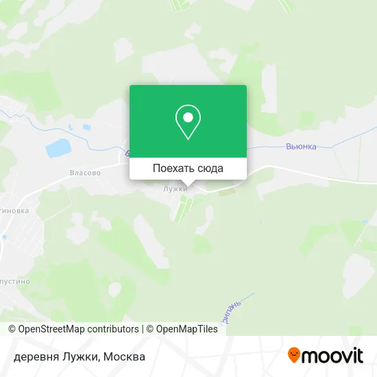 Карта деревня Лужки