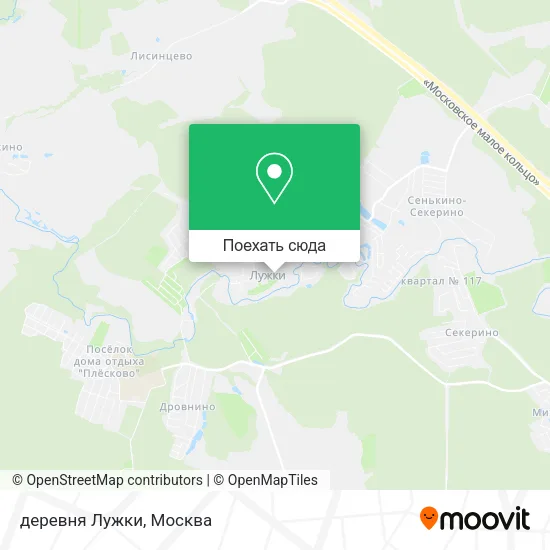 Карта деревня Лужки