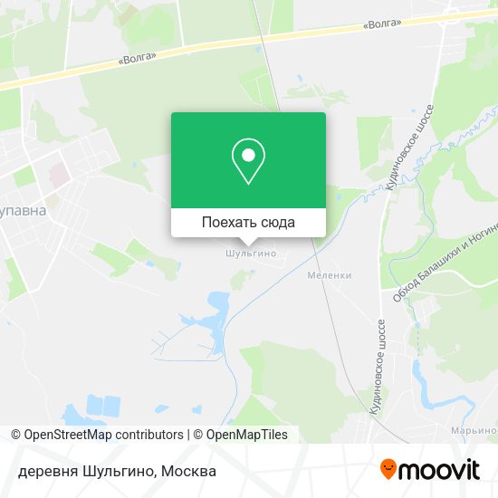 Карта деревня Шульгино