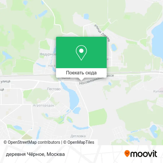 Карта деревня Чёрное