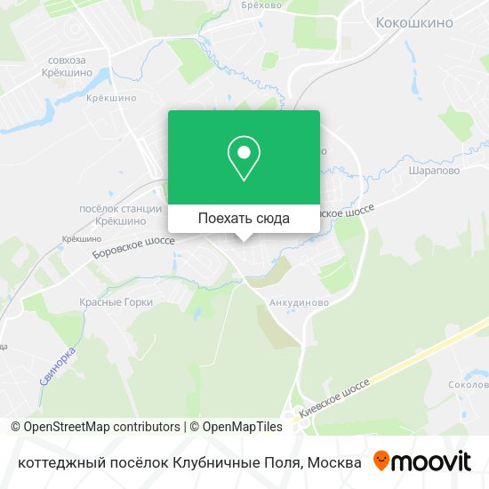 Карта коттеджный посёлок Клубничные Поля