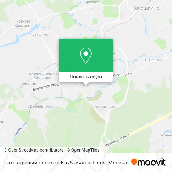 Карта коттеджный посёлок Клубничные Поля