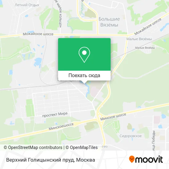 Карта Верхний Голицынский пруд
