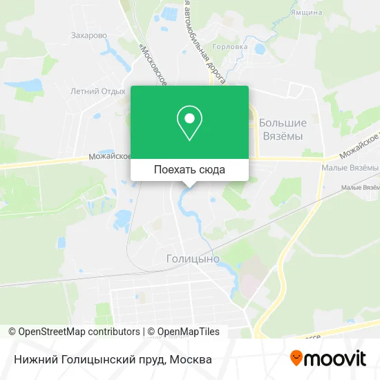 Карта Нижний Голицынский пруд