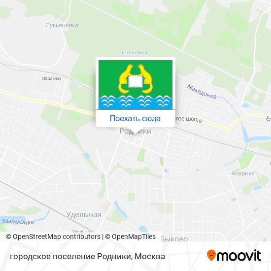 Карта городское поселение Родники