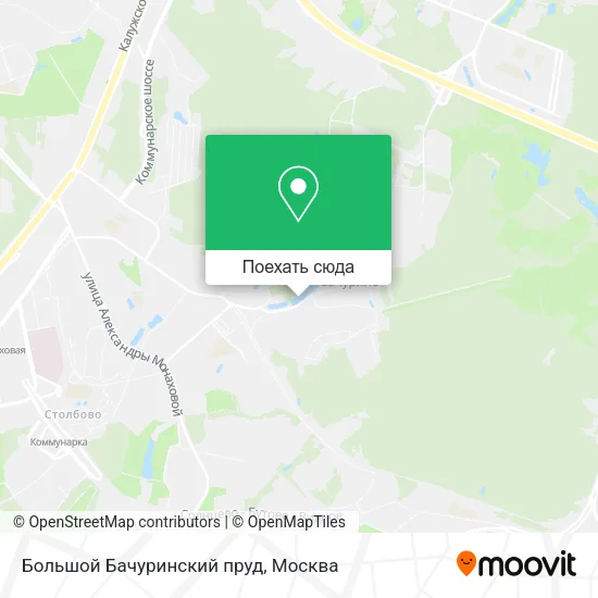 Карта Большой Бачуринский пруд