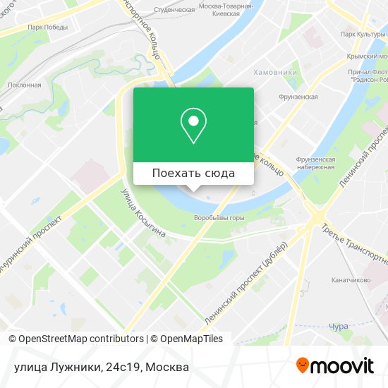 Карта улица Лужники, 24с19