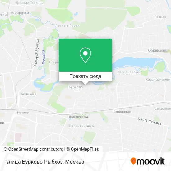 Карта улица Бурково-Рыбхоз