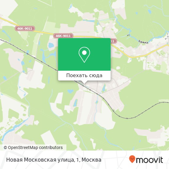 Карта Новая Московская улица, 1