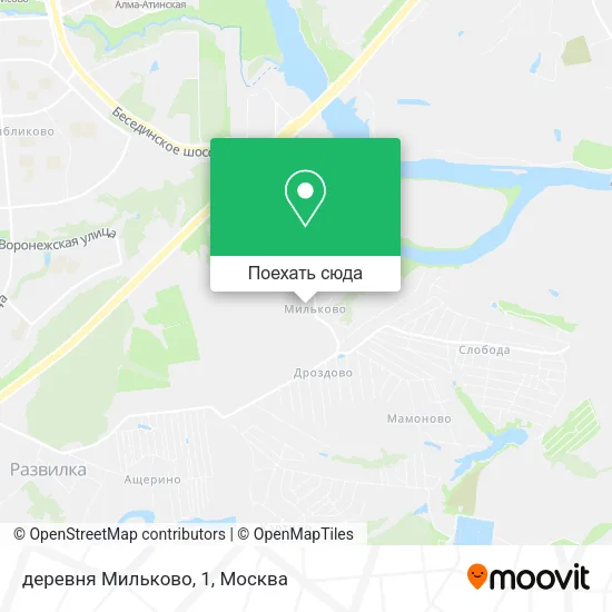 Карта деревня Мильково, 1