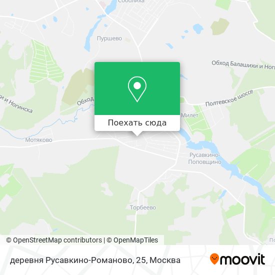 Карта деревня Русавкино-Романово, 25