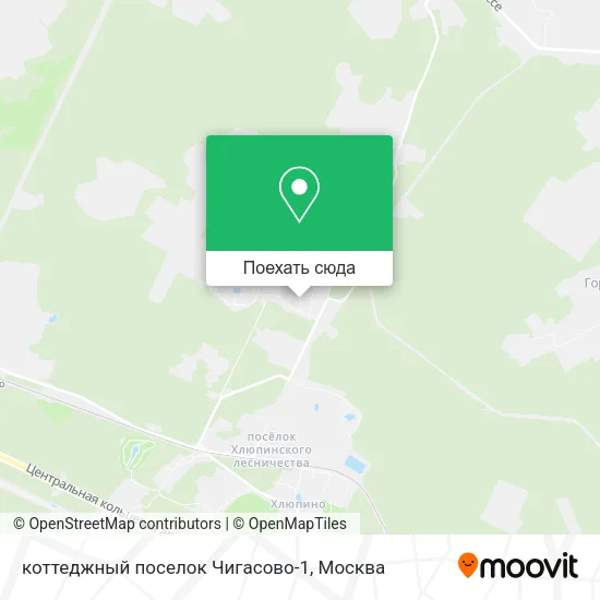 Карта коттеджный поселок Чигасово-1